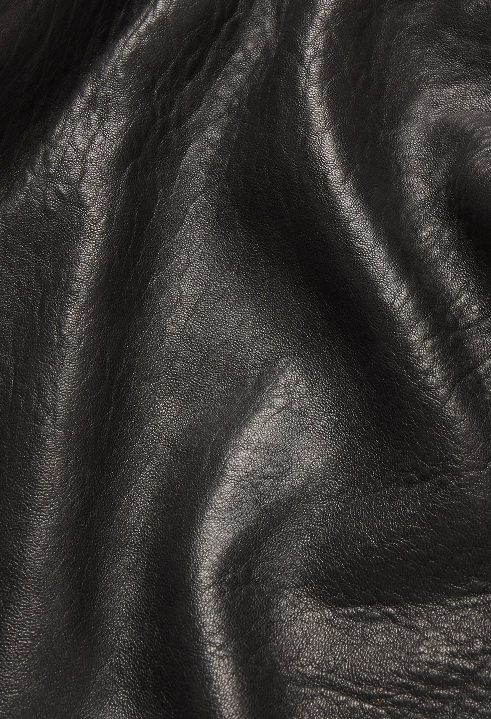 Leather Lautner Jacket / Black - Image 16